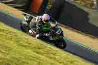 brands-hatch-photographs;brands-no-limits-trackday;cadwell-trackday-photographs;enduro-digital-images;event-digital-images;eventdigitalimages;no-limits-trackdays;peter-wileman-photography;racing-digital-images;trackday-digital-images;trackday-photos